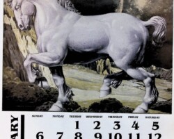 1991 January collage for calendar collage, by Freddie Baer