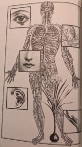 1991. "To Will and Rob." Included in Ecstatic Incisions, p.22.