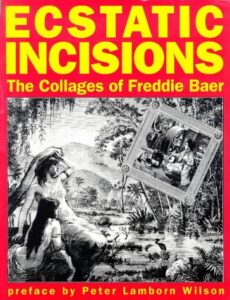 1992, cover of Ecstatic Incisions