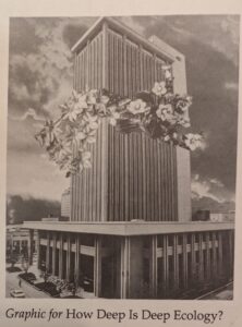 Cover graphic for Graphic for How Deep Is Deep Ecology? Included in Ecstatic Incisions, p.12.