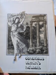 obnoxious wimin's network