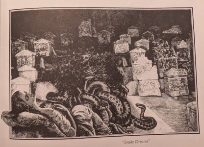 "Snake Dreams", included in Ecstatic Incisions, p.13.