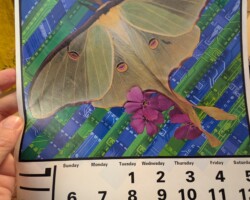 1996 - Calendar Collage, April 1997, by Freddie Baer